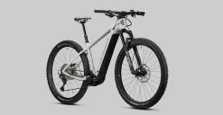 Radon Jealous Hybrid 10.0 625 10 Radon Jealous Hybrid 10.0 625 -Promos Vélo Magasin 2022 JEALOUS HYBRID CX625 10 0 detail 09