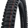 Schwalbe Big Betty Evo Super Ground 24x2,40" Addix Soft E-50 Pneus Pliants 1 Schwalbe Big Betty Evo Super Ground 24x2,40" Addix Soft E-50 Pneus Pliants -Promos Vélo Magasin Schwalbe Big Betty Evo Super Ground 11654323 a